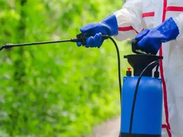 About mission 600x450